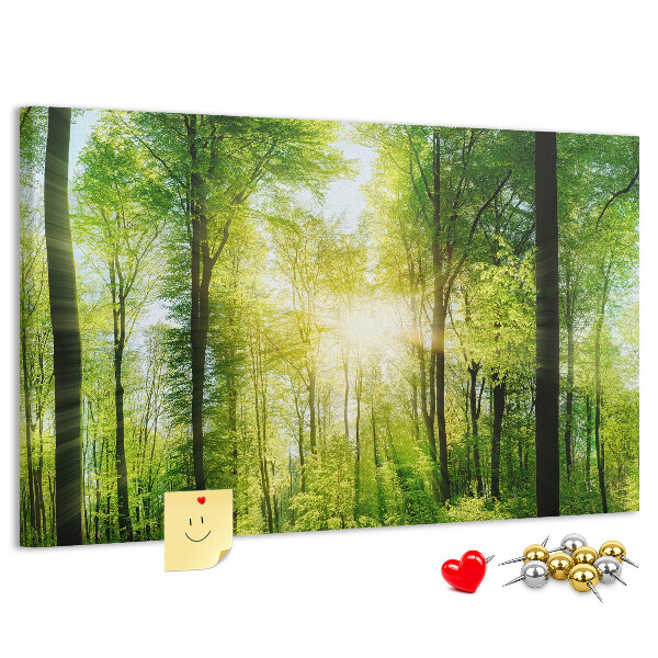 Bild mit Korkrückwand Grüner Wald mit Sonnenstrahlen