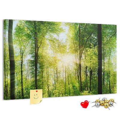 Bild mit Korkrückwand Grüner Wald mit Sonnenstrahlen