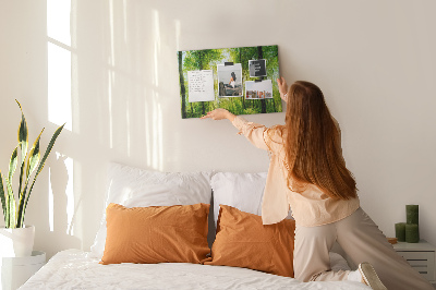 Bild mit Korkrückwand Grüner Wald mit Sonnenstrahlen