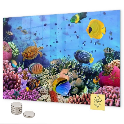 Magnettafel Unterwasserleben