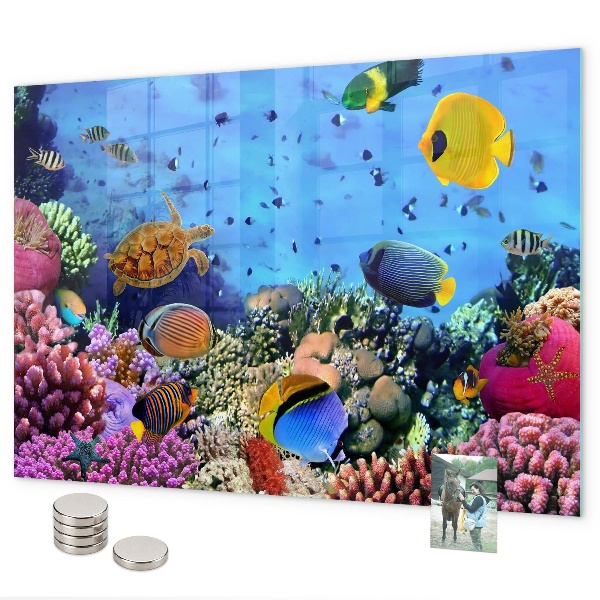 Magnettafel Unterwasserleben