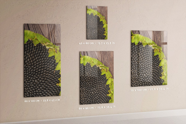Magnetbild Sonnenblumenkerne