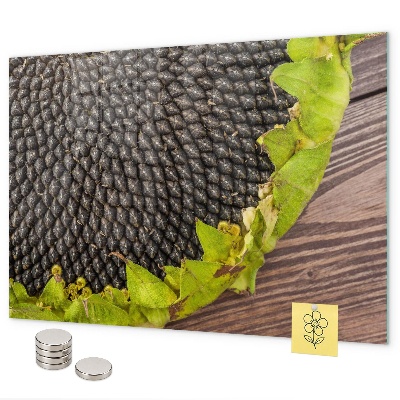 Magnetwand Sonnenblume