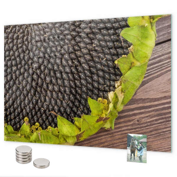 Magnetwand Sonnenblume