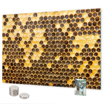 Magnetwand Bienenwabe