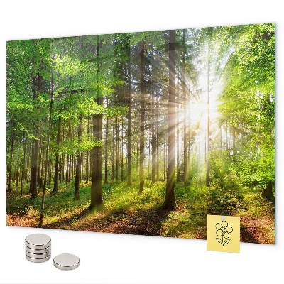Magnettafel Sonnenaufgang im Wald