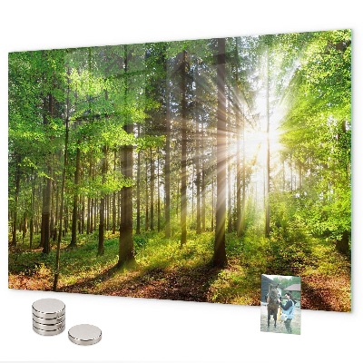 Magnettafel Sonnenaufgang im Wald