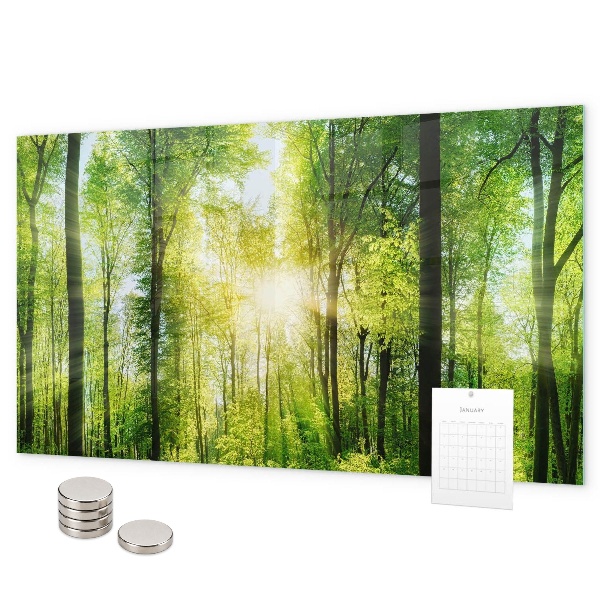 Magnetwand Die Bäume des Naturwaldes
