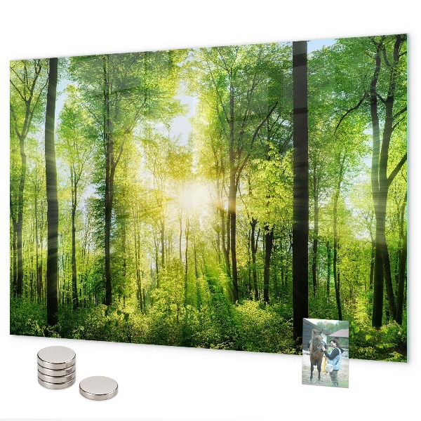 Magnetwand Die Bäume des Naturwaldes