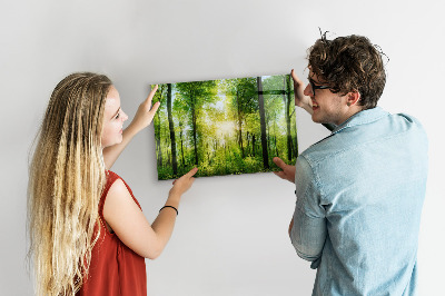 Magnetwand Die Bäume des Naturwaldes