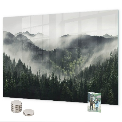 Magnetwand Waldlandschaft