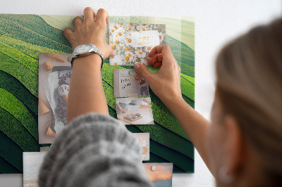 Magnettafel Abstrakte grüne Felder