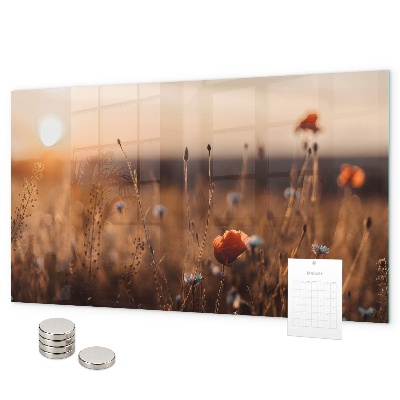 Magnetwand Sonnenaufgang auf dem Feld