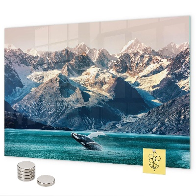 Magnetwand Walwasser