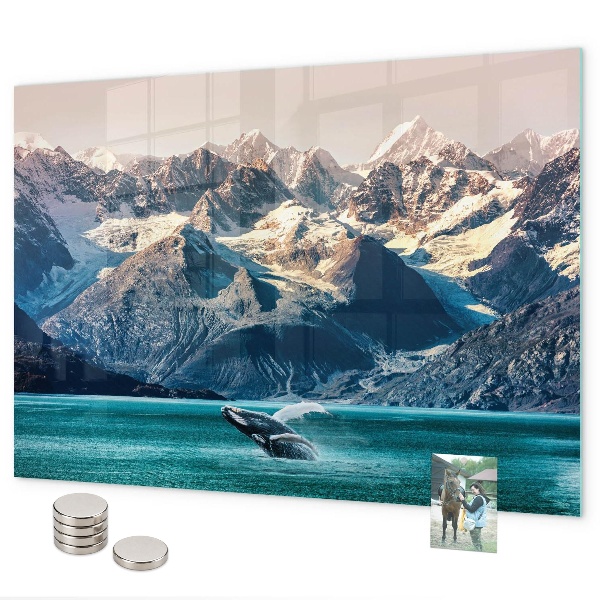 Magnetwand Walwasser
