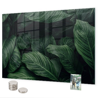 Magnetwand Tropische Monstera