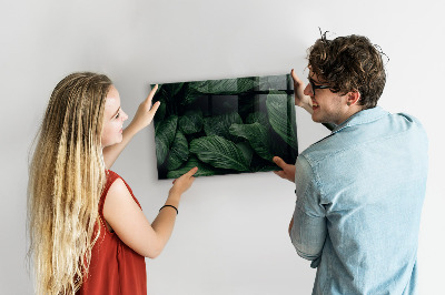 Magnetwand Tropische Monstera