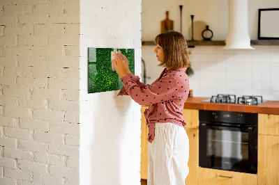 Magnettafel Heckenblätter