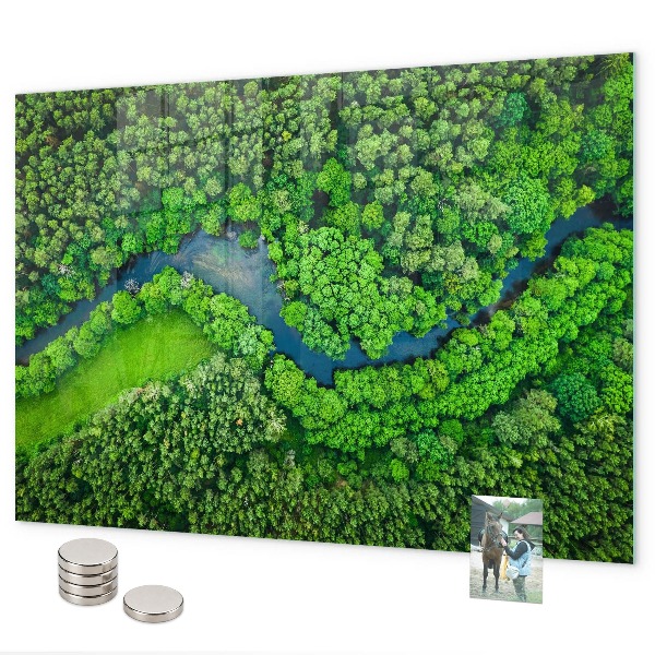 Magnetwand Fluss im Wald