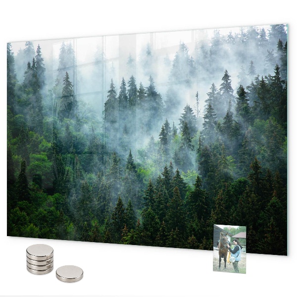 Magnettafel Nebelwald