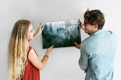 Magnettafel Nebelwald