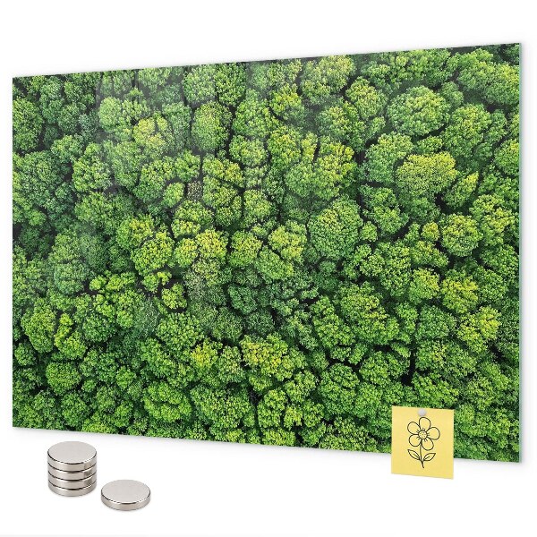 Magnetwand Wald aus der Vogelperspektive