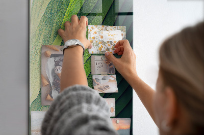 Magnetbild Grüne Streifen der Natur