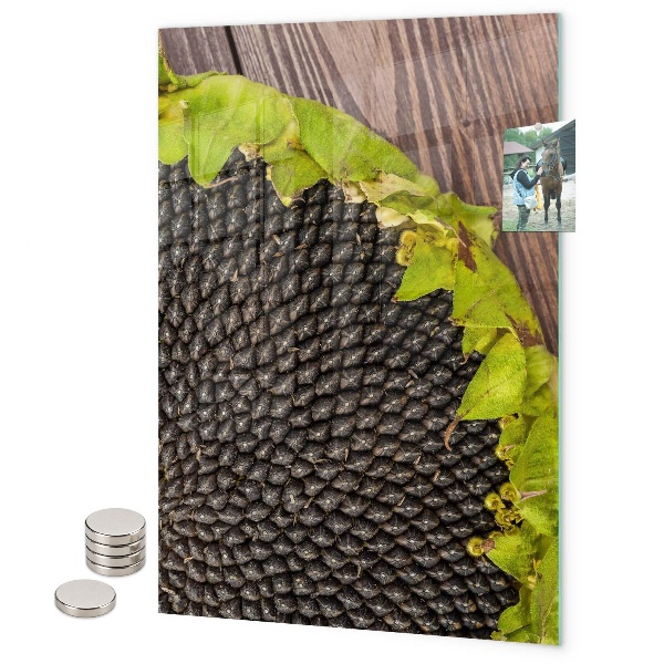 Glas magnettafel Marmorkunst