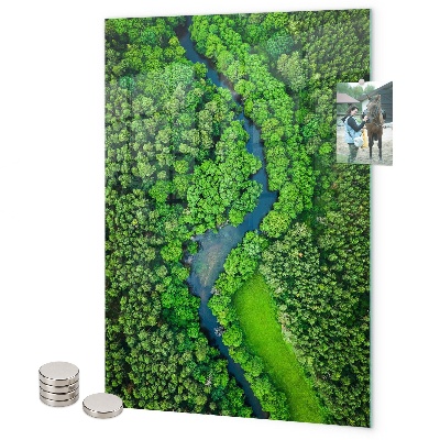 Magnetbild Waldbäume Fluss