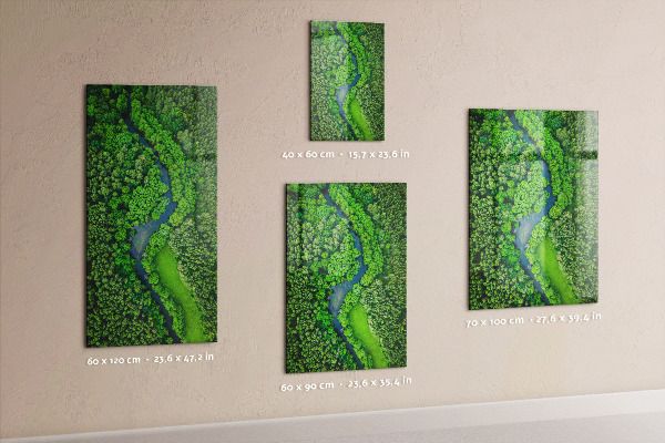 Magnetbild Waldbäume Fluss