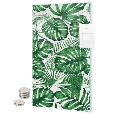 Glas magnettafel Blätter der tropischen Monstera