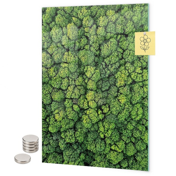 Magnetbild Bäume Natur Wald