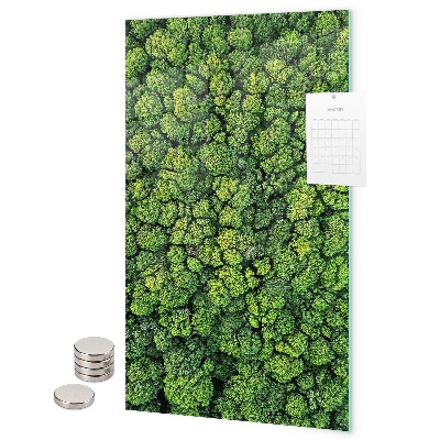 Magnetbild Bäume Natur Wald