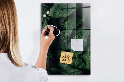Schreib magnettafel Grüne Tafel für Notizen und Fotos