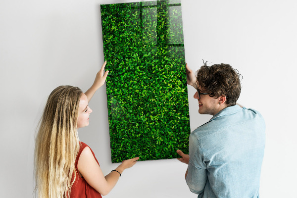 Magnettafel zum schreiben Grüne Foto-Pinnwand