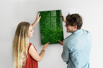 Magnettafel zum schreiben Grüne Foto-Pinnwand