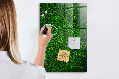 Magnettafel zum schreiben Grüne Foto-Pinnwand