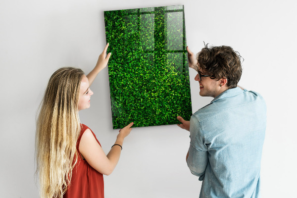 Magnettafel zum schreiben Grüne Foto-Pinnwand