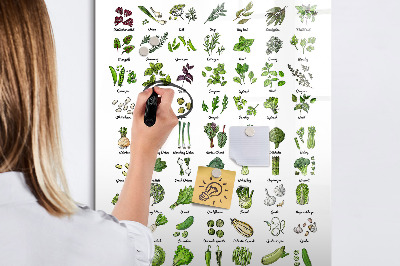 Schreib magnettafel Grünes Gemüse und Kräuter in Grafiken