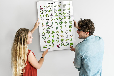 Schreib magnettafel Grünes Gemüse und Kräuter in Grafiken