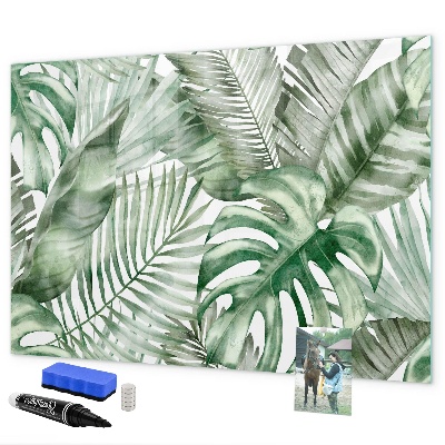 Magnettafel zum schreiben Grünes Poster mit Fotos und Zubehör