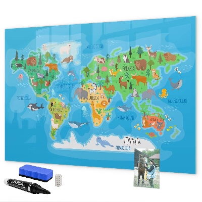 Schreib magnettafel Bunte Weltkarte mit Magneten
