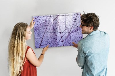 Schreib magnettafel Kreative Fotopräsentationswand