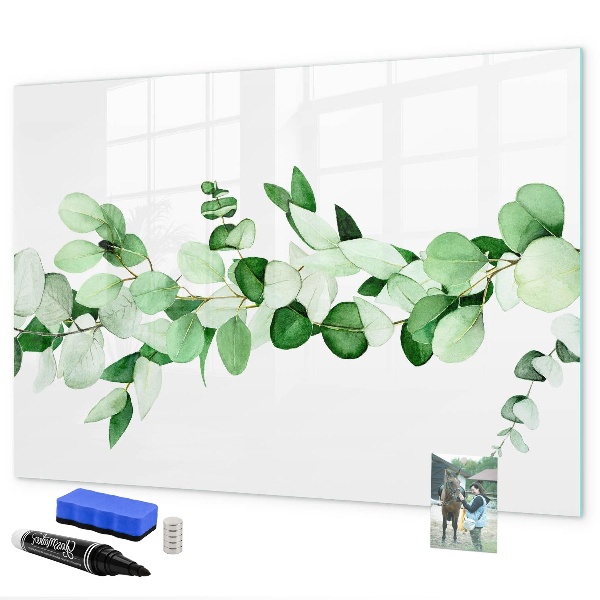 Magnettafel zum schreiben Grüne Tafel für Fotos und Notizen