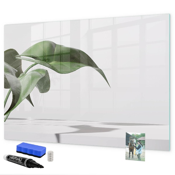 Magnettafel zum schreiben Pflanzen und Erinnerungen an der Wand