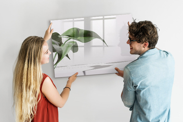 Magnettafel zum schreiben Pflanzen und Erinnerungen an der Wand