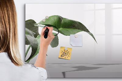 Magnettafel zum schreiben Pflanzen und Erinnerungen an der Wand