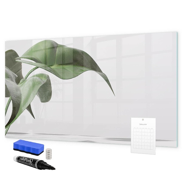 Magnettafel zum schreiben Pflanzen und Erinnerungen an der Wand