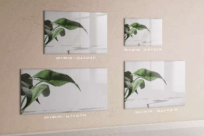 Magnettafel zum schreiben Pflanzen und Erinnerungen an der Wand