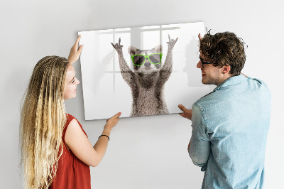 Magnettafel zum schreiben Fröhlicher Waschbär mit Bildern